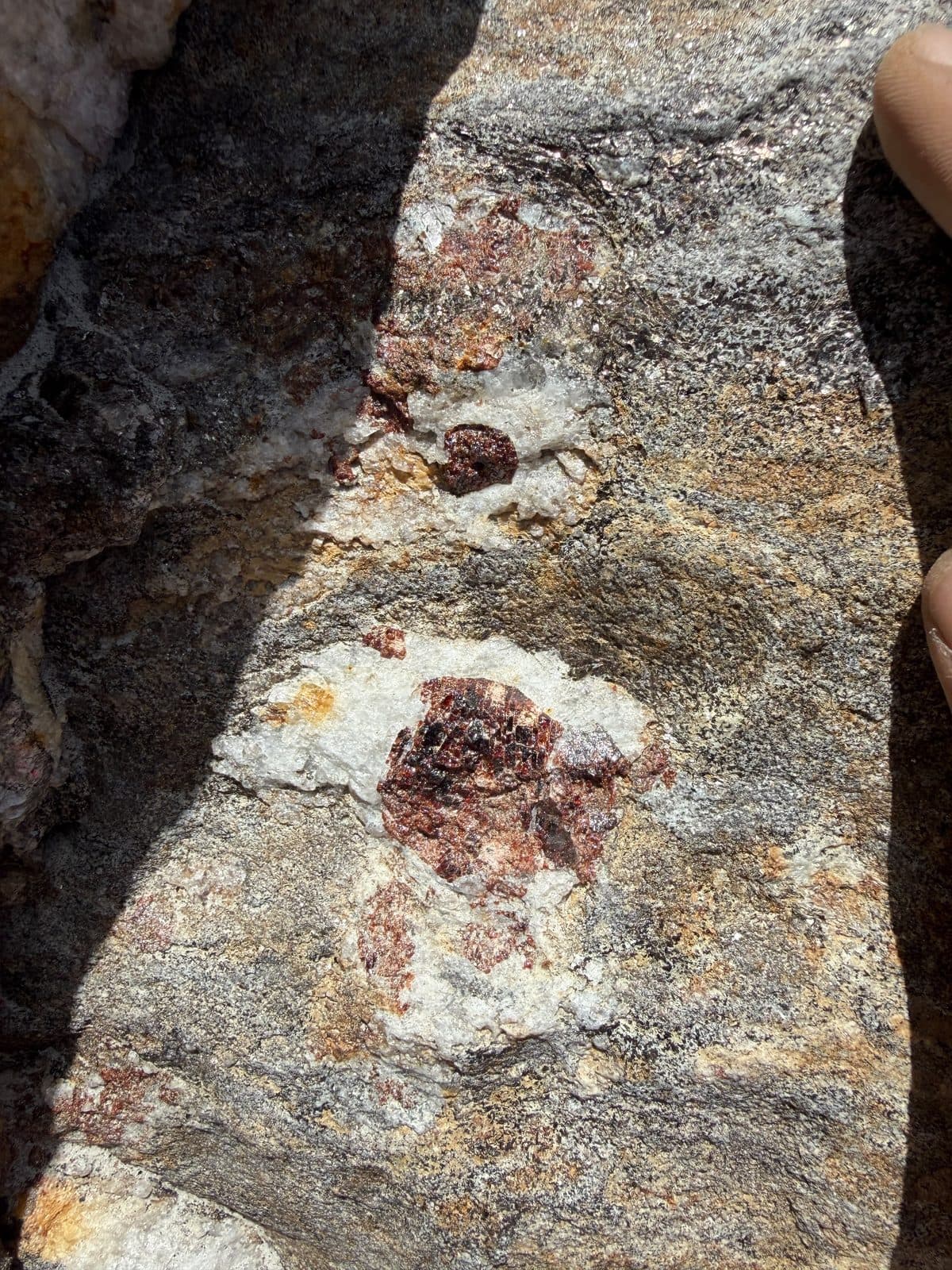 Garnet in Host Rock - Askoli, Shigar