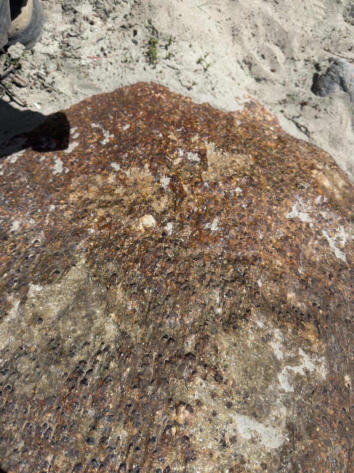 Garnet-Bearing Boulder - Askoli, Shigar