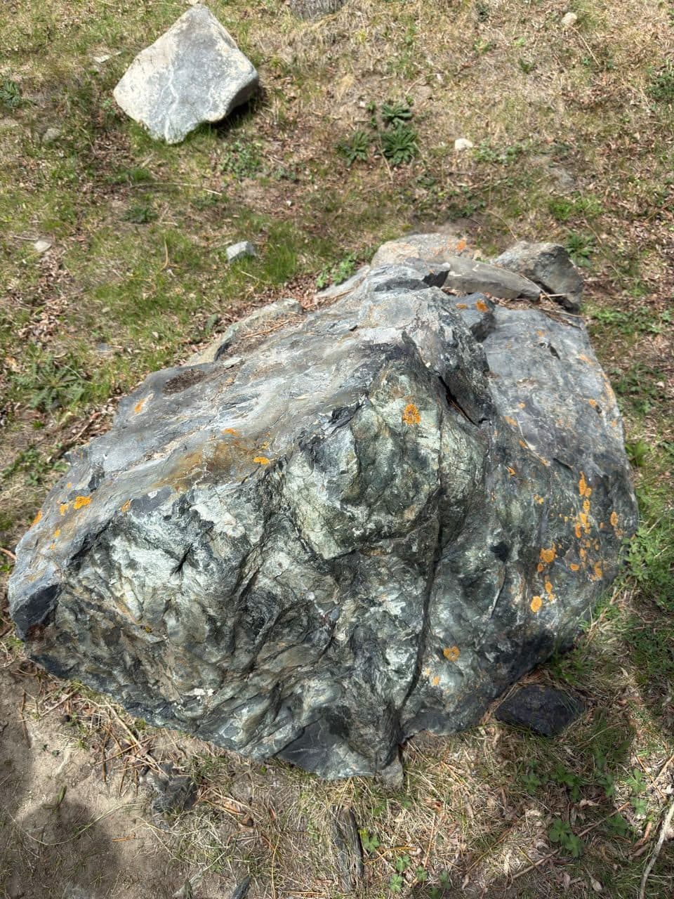 Nephrite-bearing boulder on the hillside.